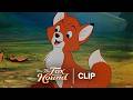 Tod & Copper Meet - Official Clip