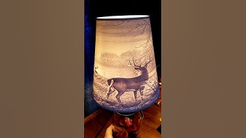 lampshade lithophane