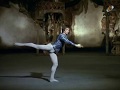 12 rare  rudolph nureyev performing solo in act 1 of swan lake