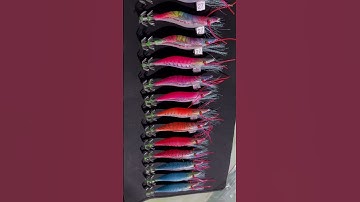 Tôm câu mực mẫu kim tuyến mới