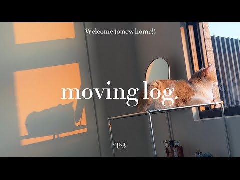 +MOVING LOG+ EP.3