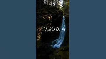 وابتغ فيما اتاك الله الدار الآخرة - سورة #القصص - القارئ الشيخ #محمد_حسين_عامر #رمضان #اليمن #القران