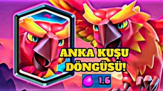 1.6 Anka Kuşu Döngüsü Clash Royale