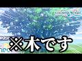 【新情報】木です。【プロセカ】