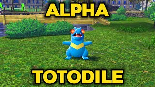 How to Catch ALPHA Totodile in Pokemon Legends: Z-A!