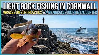 Light Rock Fishing In Cornwall - Wrasse On Soft Plastics And A Memorable Dolphin Encounter screenshot 5