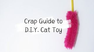 Crap Guide to DIY Cat Toy: Durable Flex