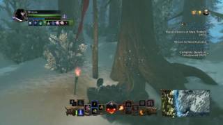 Neverwinter - How to get "IM A LUMBERJACK" Trophy with 1 Daily