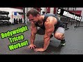 Intense 5 Minute At Home Tricep Workout #2