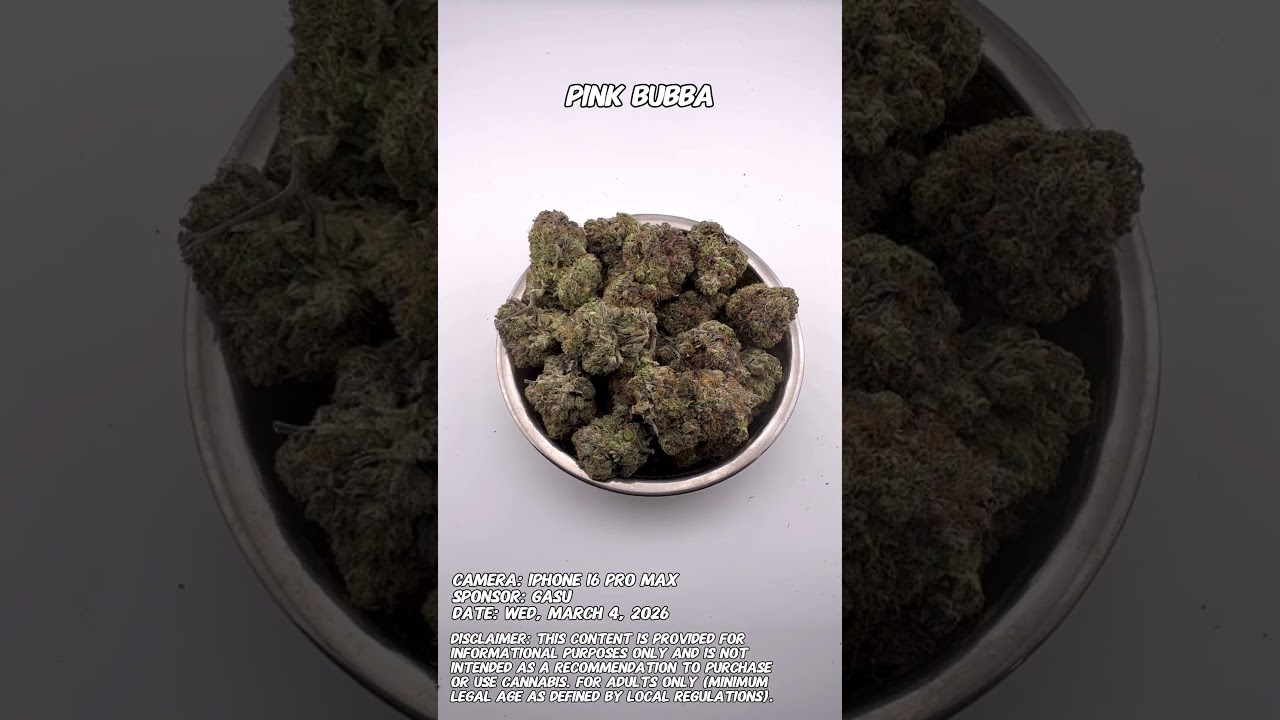 Pink Bubba | March 2026 | Gasu Sponsored | Strain Spotlight