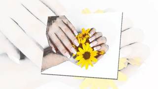 Soho Nails 6862 S Yosemite St Centennial Colorado 80112 (1578)