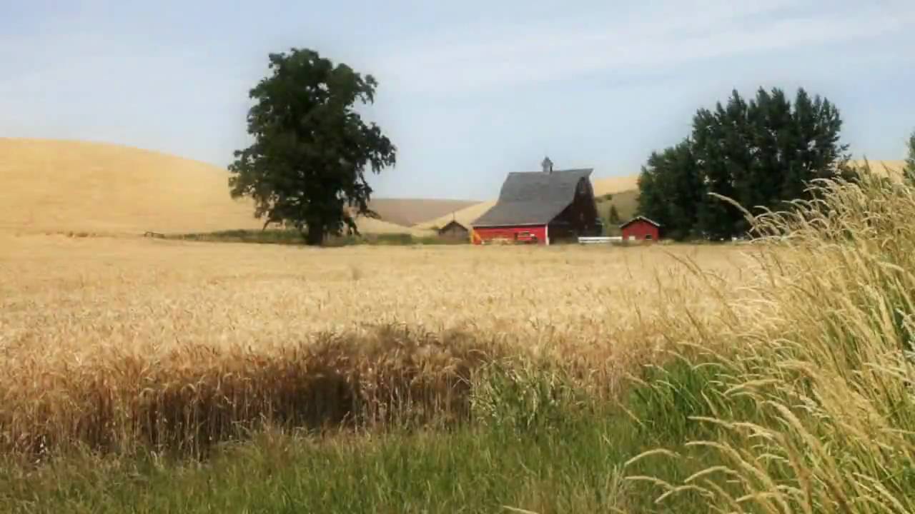 Arnold Palmer "Crystal Clear" - No Plane No Gain TV Advertisement