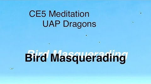 ⚪️Bird Masquerading : UAP Dragons and CE5 Meditation
