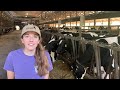 Tour the Barstow's Dairy Farm & Robot Milkers