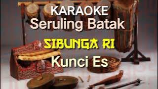 Sibunga Ri || Karaoks seruling batak kunci Es