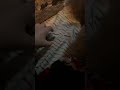 Plisss subscribe I need 23 more subscribers and like