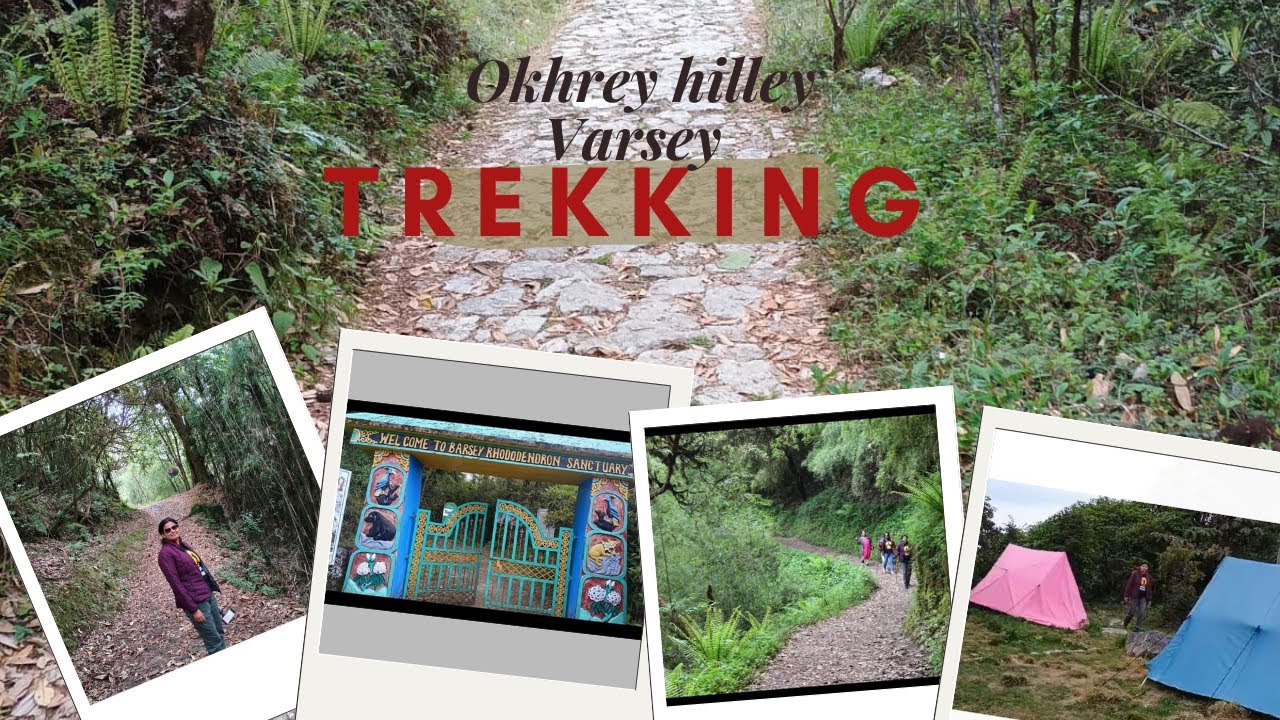 Okhrey hilley Varsey Trek | Barsey Rhododendron Sanctuary | Sikkim tourism | Hilley to Varsey |viral