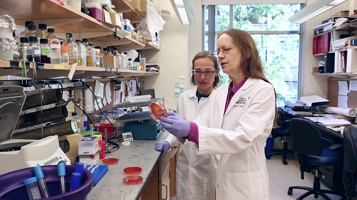 Reversing the Crisis of Antibiotic Resistance