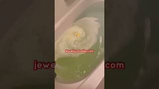 TIKTOKMADEMEBUYIT VIRAL CASH BATH BOMBS