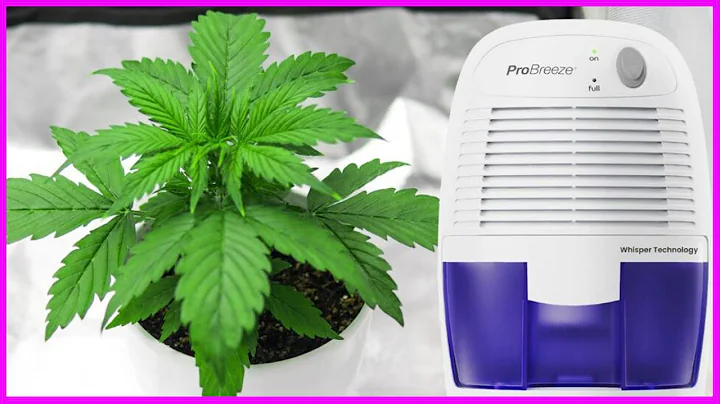 TOP 5 Best Dehumidifier for Grow Tent & Room 2025