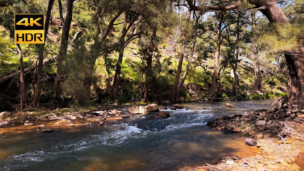 The Turon River gets a refill | 4K HDR 60fps Binaural audio, no loop ...