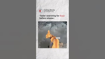 Tester searching for Bugs before release | Life of Tester | Coding Blocks! #code #codingblocks
