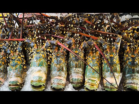 Giant Rainbow Lobster In Hua Hin Thailand - Thai Street Food