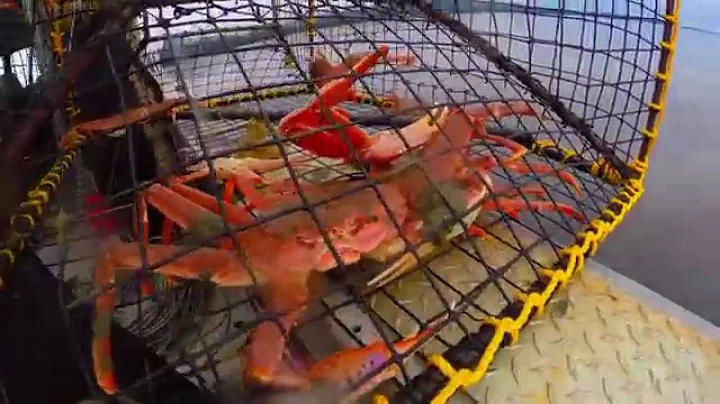 2015 Alaska Fishing Trip - Teaser