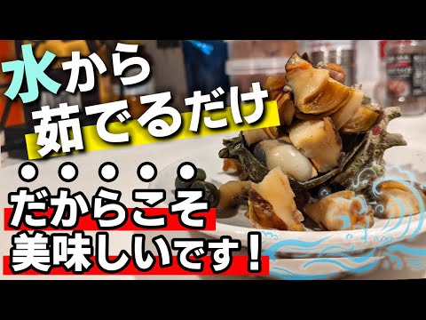 【サザエの茹で方】超簡単！水からサザエを茹でるだけの美味しい調理法！