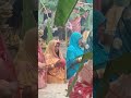 sital byariya sital duje paniya #chathpuja #ytshorts #viralshort #amrita @amritakivani