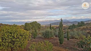 Would you stay here? 🌞 Peace, views & olive trees in Southern Spain | Casa Los Olivos Vista