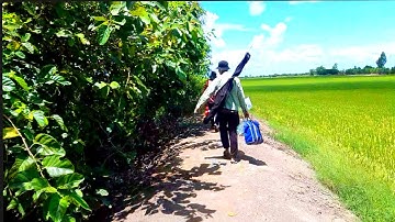 Điểm này còn nguyên Rin ,cá nhạy ăn ,cá rô cá thác lác quá nhiều.#p13 youtube câu cá hóc môn