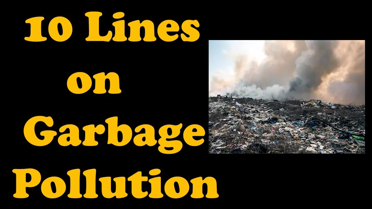 essay on garbage collector in english