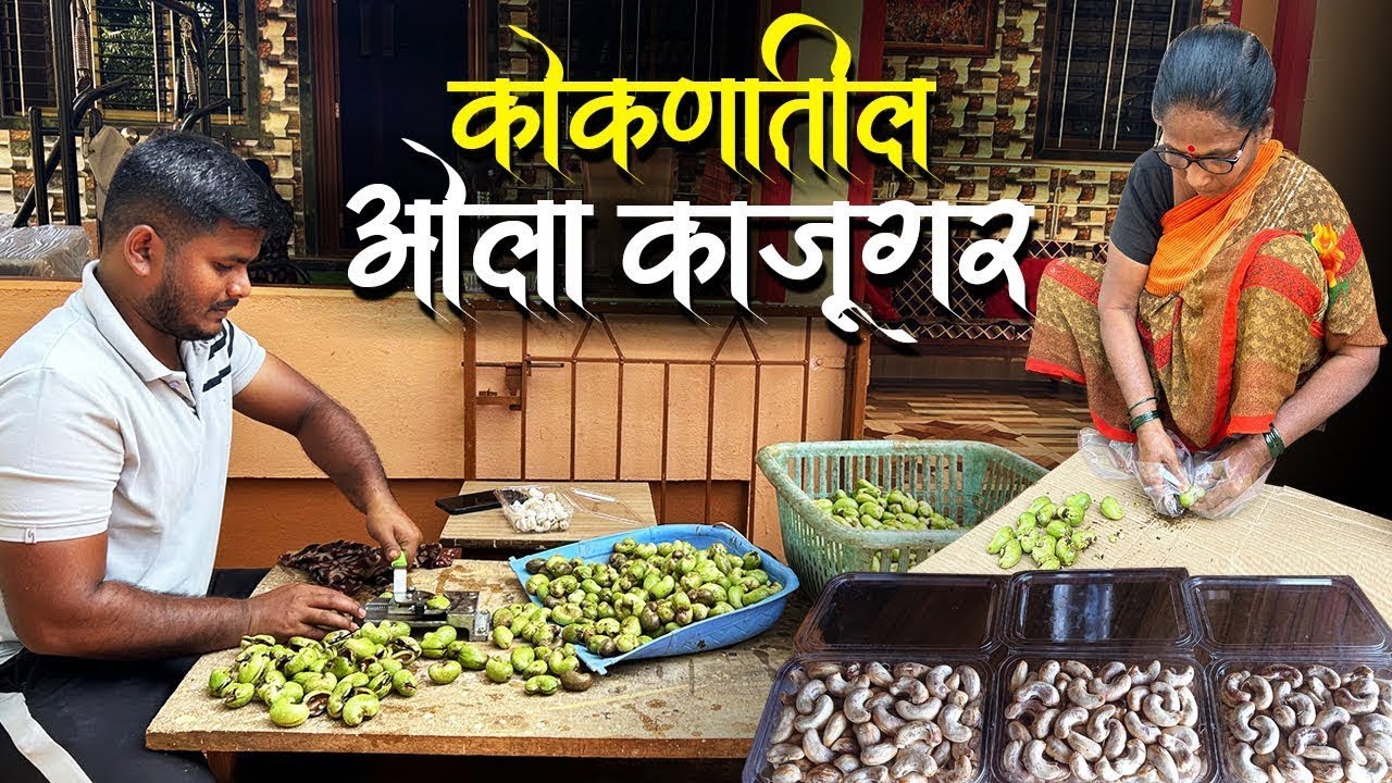 ओला काजूगर सोलायची मशिन | ओला काजूगर मागवा घरच्या घरी