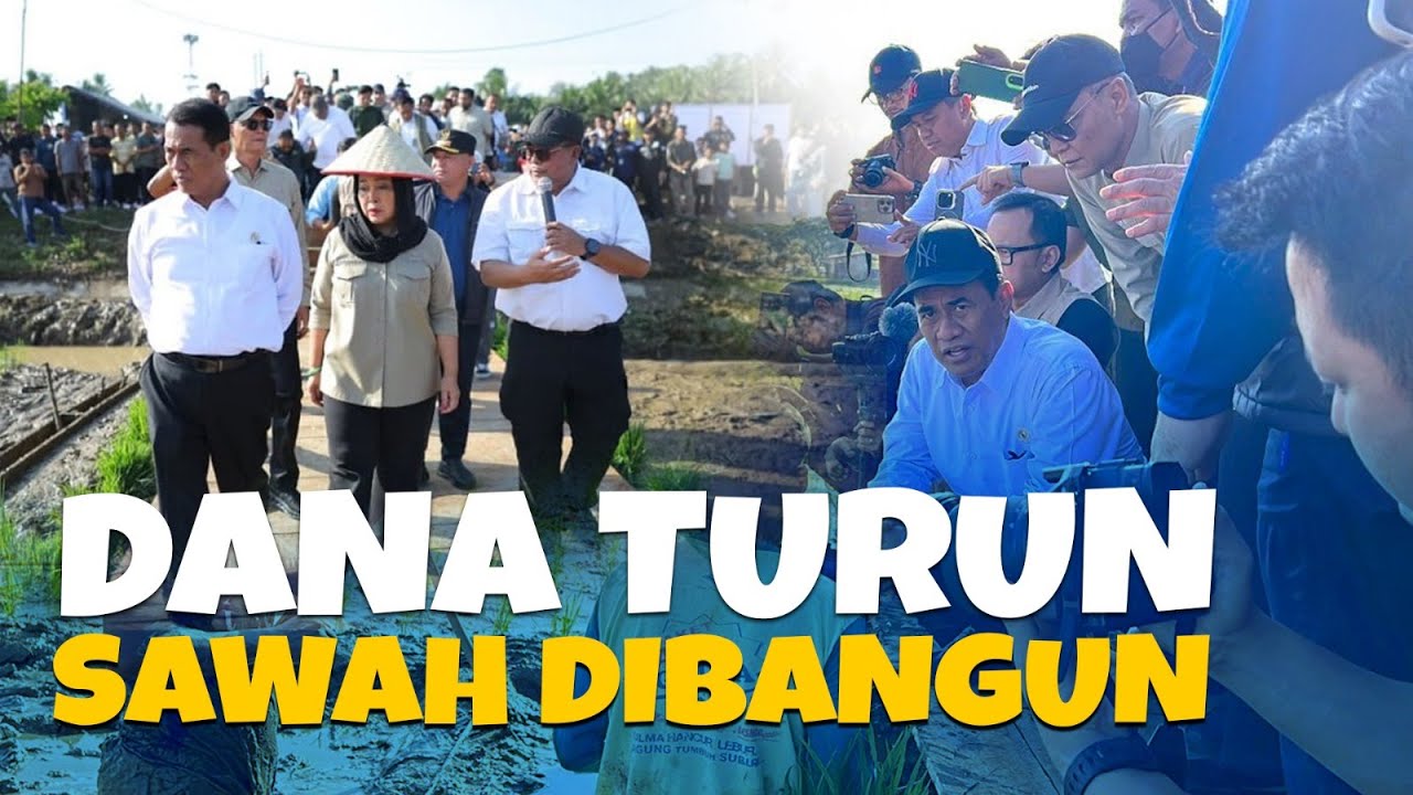 𝗗𝗔𝗡𝗔 𝗧𝗨𝗥𝗨𝗡 𝗦𝗔𝗪𝗔𝗛 𝗗𝗜𝗕𝗔𝗡𝗚𝗨𝗡