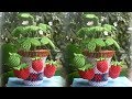 3D Origami Strawberry Pot Tutorial|  DIY Paper Strawberry Pot Home Decoration