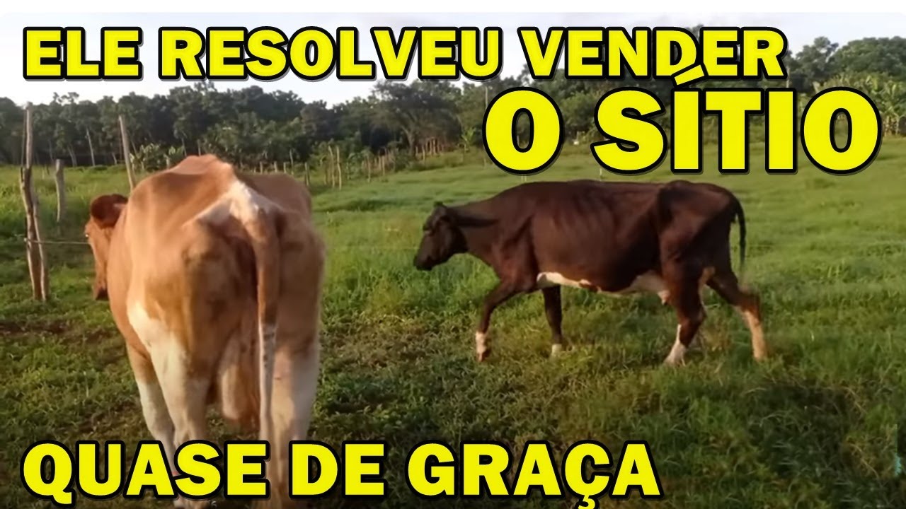 SÓ 150 MIL SÍTIO A BEIRA DO RIO COCHÁ EM MONTALVÂNIA MG