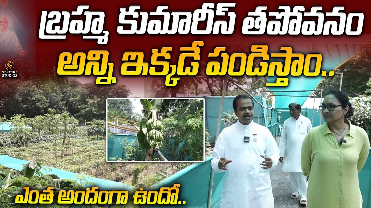 బ్రహ్మ కుమారీస్ తపోవనం అన్ని ఇక్కడే పండిస్తాం.. | Brahma Kumaris | journalist Anjali