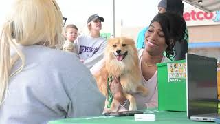 Finding Forever Homes on the Road! 🐾 | HSNT Offsite Adoptions