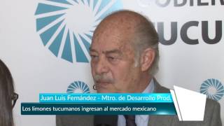 Los limones tucumanos ingresan al mercado mexicano - Gobierno de Tucumán