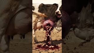 This Is Not A Pimple Pop. Extremely Graphic. シViral