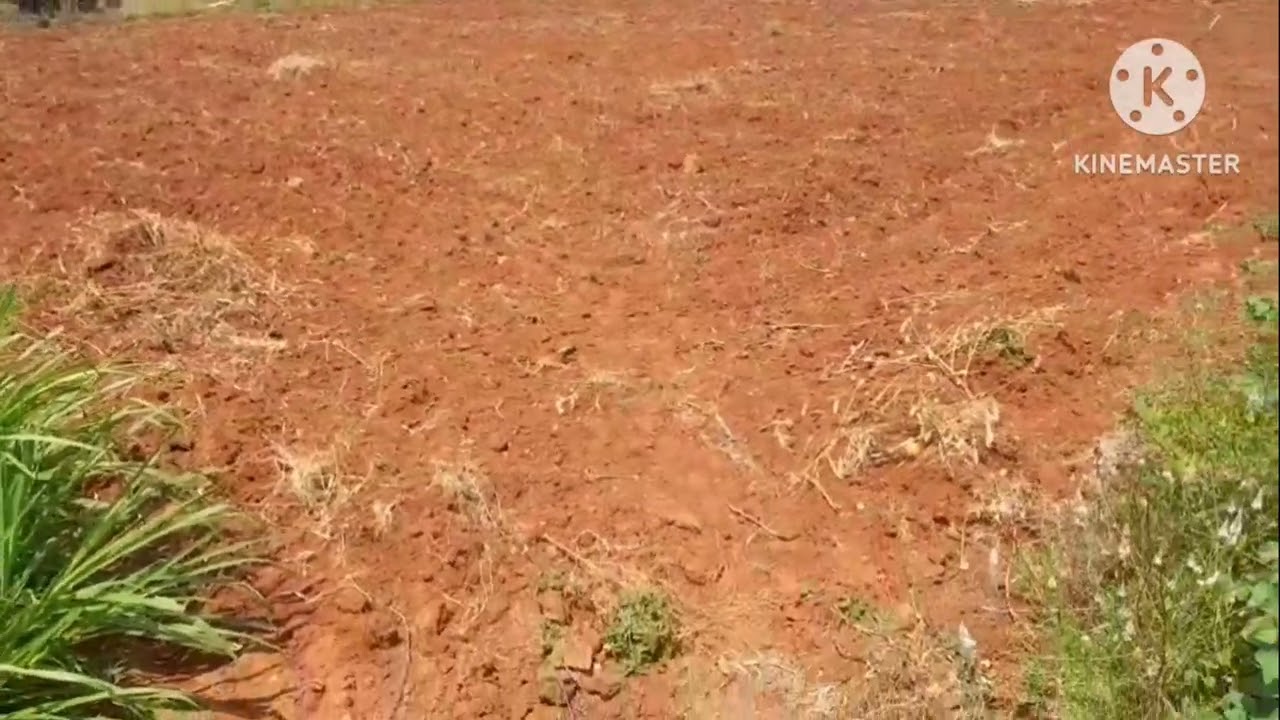 திண்டுக்கல் மாவட்டம் அய்யலூர் அருகில் உள்ளது உழவன் மகன் ரியல் எஸ்டேட் 9524672540