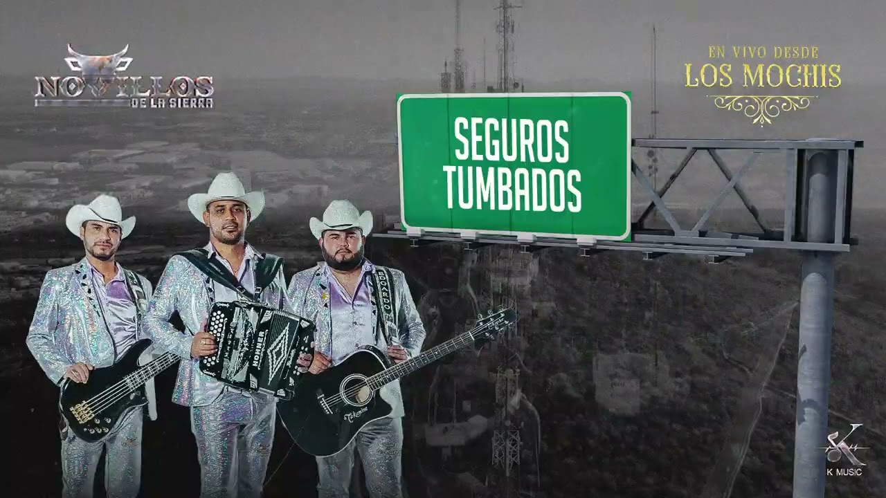 Novillos De La Sierra - Seguros Tumbados [Visualizer]