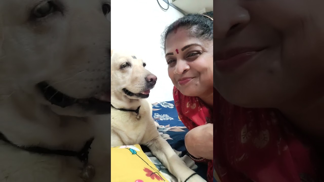 শুভ রাত্রি বন্ধুরা 🥰🥰🥰  #reelsvideo 