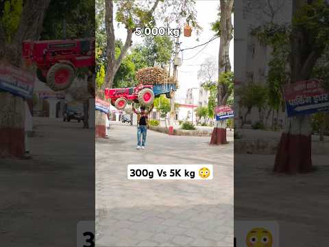 300g Vs 5K Kg Shorts Weightlifting