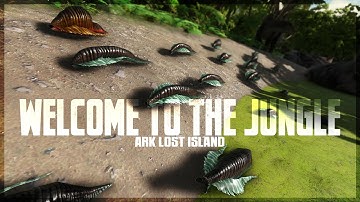 Welcome to the Jungle, We