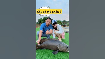 cô cần thủ đi câu cá mũ hồ dịch vụ gặp anh chủ hồ thu phí quá đắt và cái kết phần 2 #fishing #short