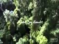 ضامن الجنه 