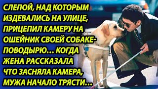 Над слепым издевались и он установил камеру на собаку-поводыря, жена ужаснулась, увидев отснятое