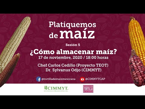 Video: Cómo Almacenar El Maíz Correctamente